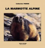 LA MARMOTTE ALPINE