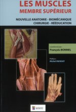 LES MUSCLES : MEMBRE SUPERIEUR