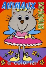 Animaux rigolos chat