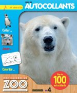 Une saison au zoo Ours - Je m'amuse avec les autocollants