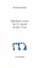 Quelques Notes sur le Travail de Jan Voss