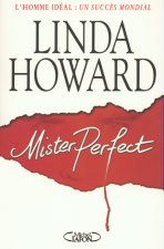 Mister perfect - l'homme idéal un succès mondial