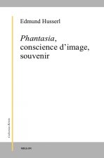 PHANTASIA, CONSCIENCE D'IMAGE, SOUVENIR
