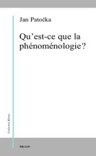 QU'EST-CE QUE LA PHENOMENOLOGIE ?
