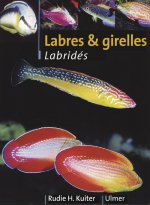 Labres & girelles