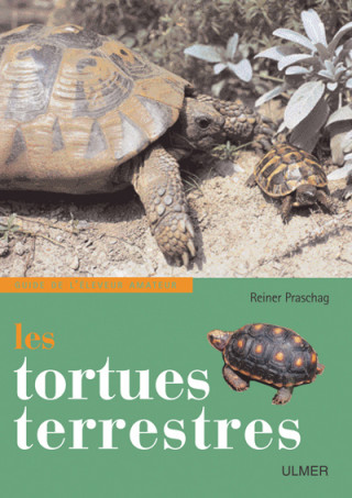 Les Tortues terrestres