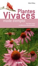 Plantes vivaces mode d'emploi