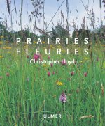 Prairies fleuries