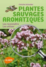 Plantes sauvages aromatiques. Les reconnaître, les utiliser