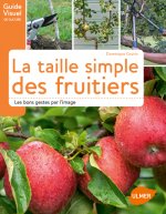 La taille simple des fruitiers - Les bons gestes par l'image
