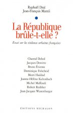 La république brûle-t-elle? essai sur les violence urbaines françaises