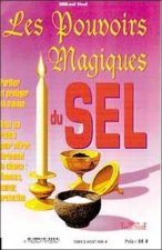 Les pouvoirs magiques du sel - guide pratique de l'utilisation du sel en magie
