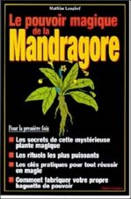 Les pouvoirs magiques de la mandragore