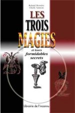 Les 3 magies - magie noire, magie blanche, magie rouge