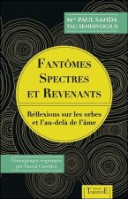 Fantômes, spectres et revenants - réflexions sur les orbes et l'au-delà de l'âme