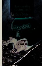 Les carnets 