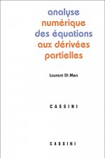 Analyse numérique des équations aux dérives partielles