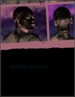 Derrière l'objectif de Hans Silvester