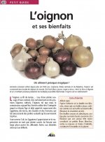 L'oignon et ses bienfaits