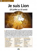 JE SUIS LION