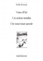 VUES D'ICI-UN AVION TOMBE-ON VEUT TOUT SAVOIR