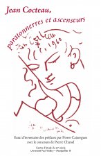 Jean Cocteau, paratonnerres et ascenseurs