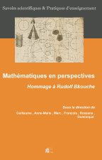 Mathématiques en perspectives - hommage à Rudolf Bkouche