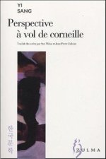 Perspective à vol de corneille