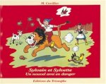 Un nouvel ami en danger, tome 13