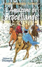 L'Amazone de Brocéliande, tome 4