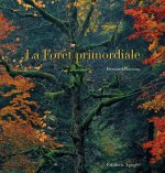 La forêt primordiale