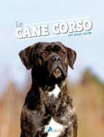 Le cane corso