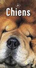 Chiens