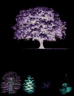 Arbres et arbustes