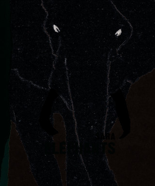 Éléphants