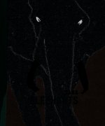 Éléphants