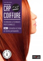 Tome 2- Coloration et mise en forme permanente