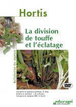 Division de touffe et l'éclatage