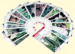 Légum'cartes