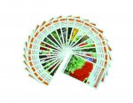 Planti'cartes