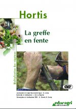 Greffe en fente (La)