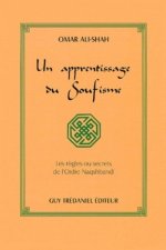 Un apprentissage du soufisme - Les règles ou secrets de l'ordre Naqshbandi