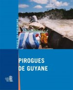 Pirogues de Guyane