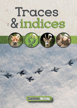 Traces & indices