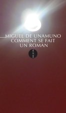 COMMENT SE FAIT UN ROMAN