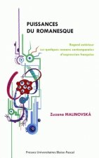 Puissances du romanesque - regard extérieur sur quelques romans contemporains d'expression française