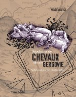 Sépultures de chevaux devant Gergovie - archéozoologie des rituels gaulois