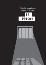 La prison - réalités et paradoxes