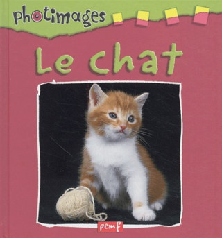 Le chat