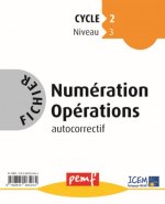 Fichier Numération-Opérations CP NIVEAU 2 Fichier 2